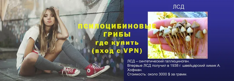 Где можно купить наркотики Сыктывкар A PVP  АМФ  Марихуана  МЕТАМФЕТАМИН  Мефедрон  COCAIN 